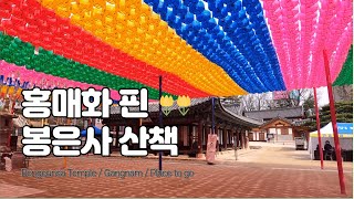 [4K] Seoul Walk -Bongeunsa Temple in Gangnam