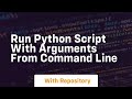 run python script with arguments from command line