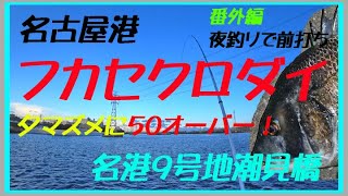 2023年8月　フカセクロダイ　名港9号地潮見橋から50オーバー！