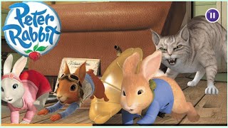 Peter Rabbit | The Tale of the Unexpected Discovery