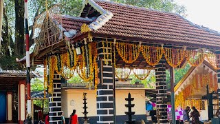 വയങ്കാവ് ഉച്ചാർവേല 2023-വേങ്ങശ്ശേരി പൂരം#pooram #kerala #palakkad #aanapremi #reels #pooramvibes #ആന