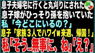 【スカッと】息子夫婦宅に行くと丸刈りにされた息子嫁が薄暗い部屋でひっそり孫を抱いていた。私「今どこ？」息子「家族3人でハワイw来週に帰国するから！」私「そう…無事に、ね「え？」【感動する話】