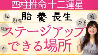 【自分史上最高】「十二運星別」あなたが特別にステージアップできる場所を徹底解説！￼