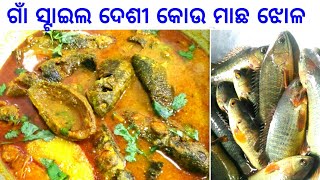 ଗାଁ ସ୍ଟାଇଲ ଦେଶୀ କୋଉ ମାଛ ଝୋଳ (ମୋ ବୋଉ ରେସିପି)| Village Style Desi Koi Curry| Desi Kou Machha Jhola ||