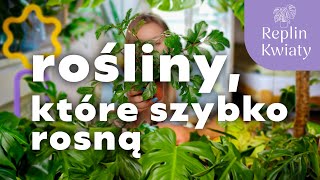 Te rośliny szybko rosną! | unboxing Replin i kod rabatowy dla was