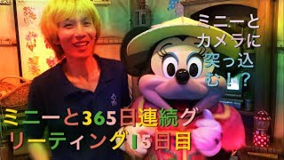 ミニーと365日連続グリーティング15日目〜カメラに突っ込むミニー〜 my Disney tour day 15 I meet minnie mouse