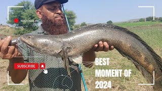 SNAKEHEAD FISHING || HIGHLIGHTS OF2024#gulbargafishing #snakeheadhunter