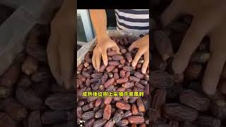 阿聯酋黑椰棗-减脂黑椰枣