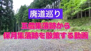 【廃道巡り】五僧峠から保月集落跡まで自転車で行く動画#ebike #廃村巡り#廃村探索 #廃村#サイクリング #ヤマハypj #集落跡#保月集落跡#五僧集落跡