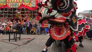 中国香港, 厦村乡, 太平清醮, 賀醮, 2024.11.13 Part G Tai Ping Qing Jiao Festival, Ha Tsuen Township, HK, China