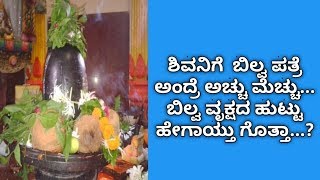 ಶಿವನಿಗೆ  ಬಿಲ್ವ ಪತ್ರೆ ಅಂದ್ರೆ ಅಚ್ಚು ಮೆಚ್ಚು... ಬಿಲ್ವ ವೃಕ್ಷದ ಹುಟ್ಟು ಹೇಗಾಯ್ತು ಗೊತ್ತಾ...? | ANAGHA VAANI