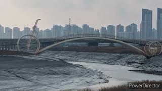 #칠면초가 있는 #갯벌의 가을(시흥시청역에서 월곶역까지) / Autumn in tidal flats with tidal channels