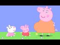 Peppa Pig English Episodes - Baby Peppa Pig and Baby Suzy Sheep! Peppa Pig Official