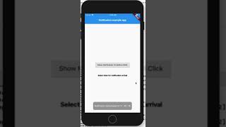 Notification on Timing Basis (Scheduling) | Flutter
