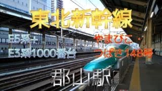 【鉄道ファン限定】東北新幹線郡山駅13番のりばに、E5系10連+E3系1000番台7連のやまびこ・つばさ148号が入線