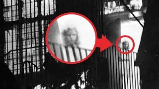 7 MYSTERIOUS PHOTOS & The Unexplained Stories Behind Them