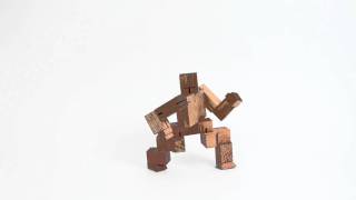 Cubebot Puzzle