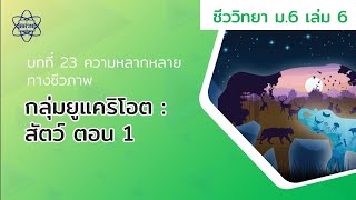 กลุ่มยูแคริโอต : สัตว์ ตอน 1 (ชีววิทยา ม. 6 เล่ม 6 บทที่ 23)