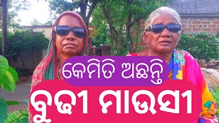 BEST 👍ODIA VLOGS ♥️ବୁଢୀ ମାଉସୀ ଭାରି ଖୁସି |Live stream |