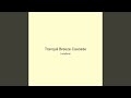Tranquil Breeze Cascade