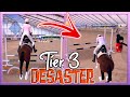 unser 1️⃣. TIER 3 Turnier ist ein DESASTER 😅😂🤣 Equestrian the Game