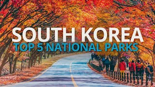 Top 5 Hidden National Parks in South Korea: Discover the Secret | South Korea Travel