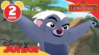 The Lion Guard | It’s UnBungalievable: Who's Quicker? | Disney Junior UK