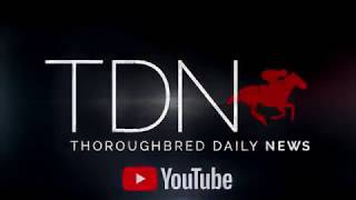 Have You Seen The TDN YouTube?