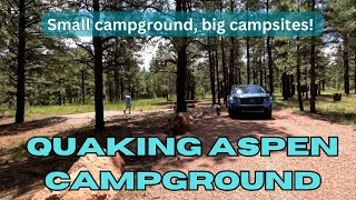 Quaking Aspen Campground - What a Surprise!