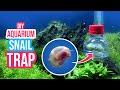 🕸️🐌 DIY Aquarium Snail Trap: Say Goodbye to Pest Snails 👋