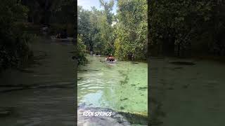 Kayaking Scenic Blue Clear Water at Rock Springs in Florida near Orlando #kayakingadventures