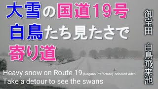 大雪の国道19号線／安曇野の白鳥を見に寄り道／Heavy snow on National Route 19. Take a detour to see the swans of Azumino