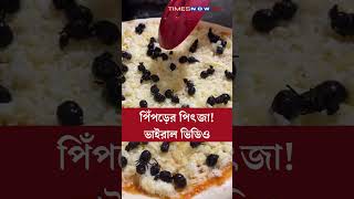 Viral Video । পিঁপড়ে দিয়ে তৈরি পিৎজা, চোখ কপালে নেটিজেনদের  #viralvideo #viralpizza