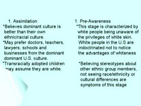 Introduction To Ethnic/Racial Identity Development For Young Adults.mpg ...