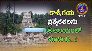 కాశీ,గయ ప్రత్యేకతలను ఒకే ఆలయంలో చూడండి...! ||  SVBC TTD