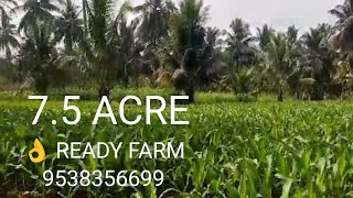 Tn) 7.5 ACRE | ARECANUT \u0026 COCONUT FARM | TAR ROAD | RED SOIL | FENCING#9538356699@SurabhiProperties