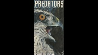 Predators of the Wild: Hawk (VHS full documentary)