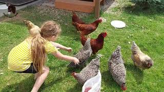 Liberty (6-Years-Old) Finally Catches Her First Chicken