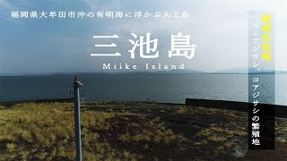 絶滅危惧種『ベニアジサシ』『コアジサシ』の繁殖地【三池島】