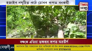 হোজাইৰ নখুটিত কাঠ চুৰৰ ৰূপত  এইবাৰ অবৈতনিক ভাবে নিযুক্তি পোৱা বন কৰ্মী।