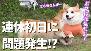 連休初日から問題発生で、病院行きになりました。【犬と猫のいる生活】