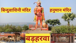 🙏🙏विंध्यवासिनी मंदिर बरहरवा🙏🙏 ||Hanuman mandir Barharwa || @skvlogstk4383 #hanumanji #hanumanchalisa