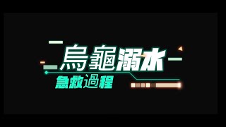 「烏龜飼養教學」烏龜急救 烏龜溺水還有救 你以為他死了~其實他還可以活! 烏龜CPR 烏龜淹死了怎麼辦？烏龜翻車在水裡！水龜也會溺水！澤龜溺死怎麼辦？烏龜癱軟無力！#烏龜溺水 #槑龜園 #Turtle