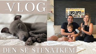 🐾 VLOG -  DEN SE ŠTĚŇÁTKEM -  první dny se štěnětem, máme štěňátko, pejsek italský chrtík 😍