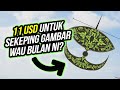 Dapat 11 Dollar Untuk Sekeping Gambar Ni?