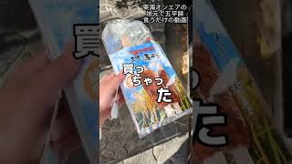 東海オンエアとしみつの地元で五平餅食うだけの動画　 #東海オンエア #岡崎 #五平餅　#聖地巡礼　#としみつ