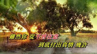 不是我不小心〈華語〉栢林〈MMO HD版〉