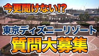 【募集】今更聞けない!? 東京ディズニーリゾートの質問