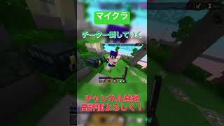 【マイクラ】チーター倒していく #hive