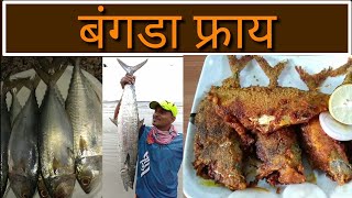 मालवणी पद्धतीत बांगडा फ्राय ll How to make Malvani style Bangada Fry ll Malvani Recipe ll